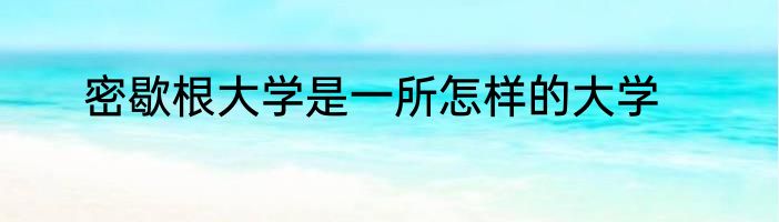 密歇根大学是一所怎样的大学