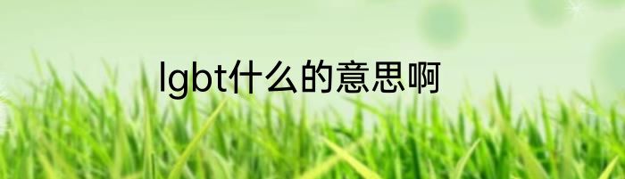 lgbt什么的意思啊