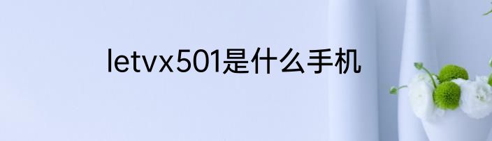 letvx501是什么手机