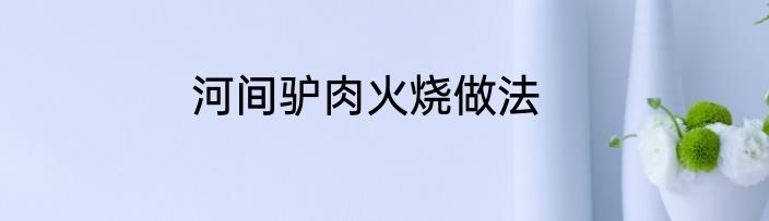 河间驴肉火烧做法