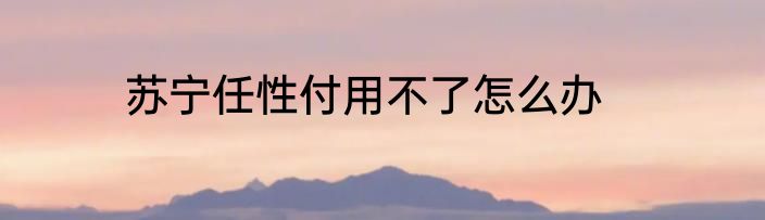 苏宁任性付用不了怎么办