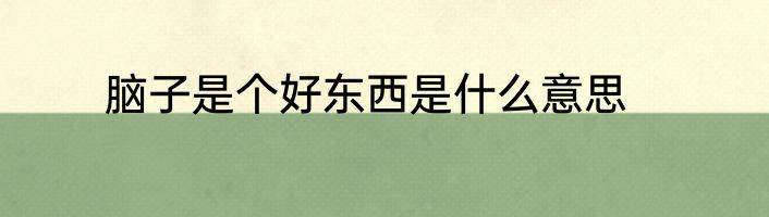 脑子是个好东西是什么意思