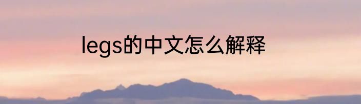 legs的中文怎么解释