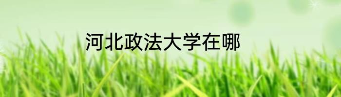 河北政法大学在哪