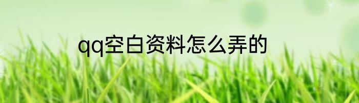 qq空白资料怎么弄的