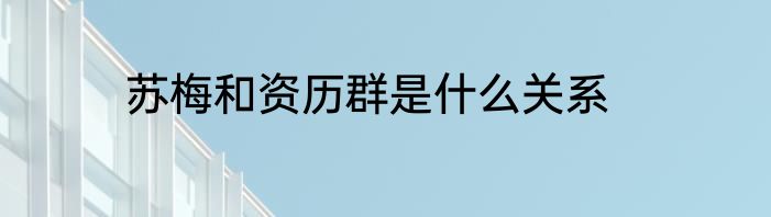 苏梅和资历群是什么关系
