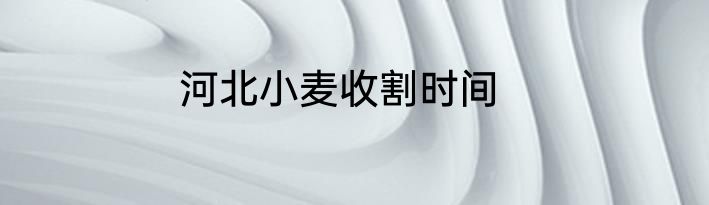 河北小麦收割时间