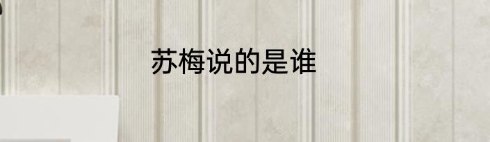 苏梅说的是谁