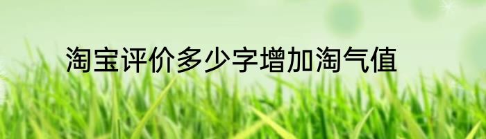 淘宝评价多少字增加淘气值