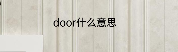 door什么意思