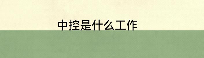 中控是什么工作