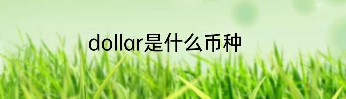 dollar是什么币种
