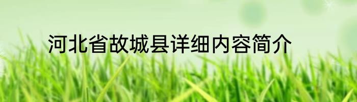 河北省故城县详细内容简介