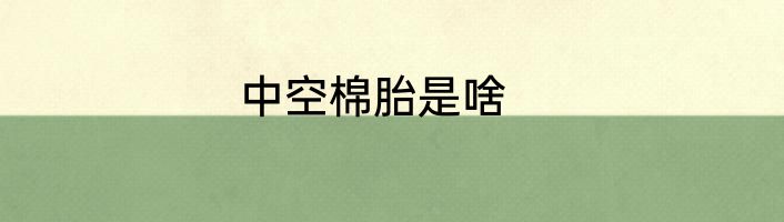 中空棉胎是啥