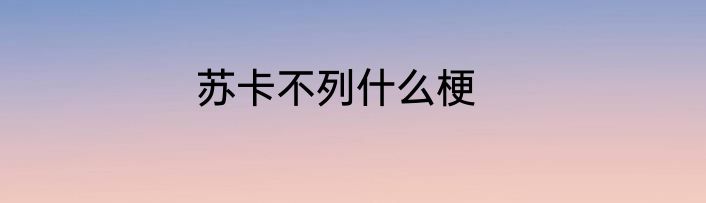 苏卡不列什么梗