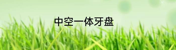 中空一体牙盘