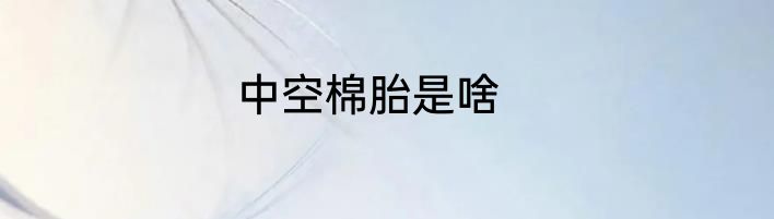 中空棉胎是啥