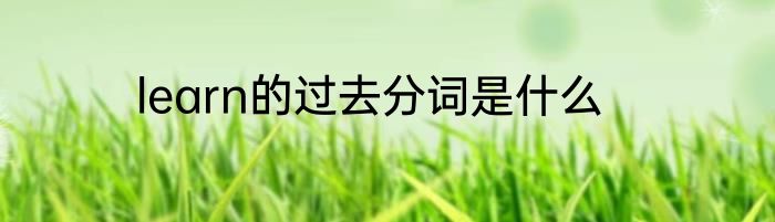 learn的过去分词是什么