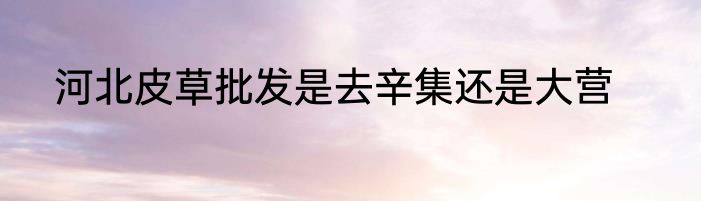 河北皮草批发是去辛集还是大营