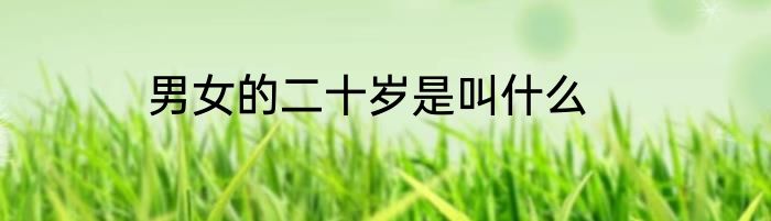 男女的二十岁是叫什么