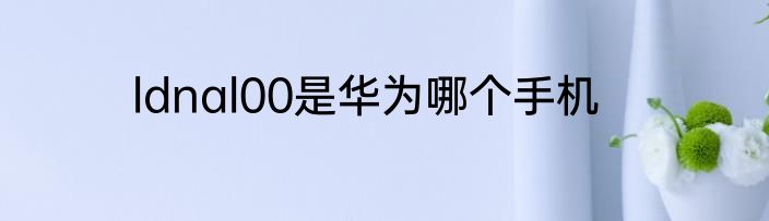 ldnal00是华为哪个手机