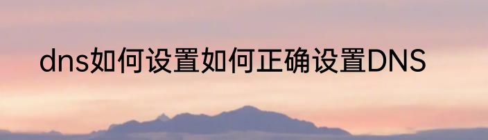 dns如何设置如何正确设置DNS