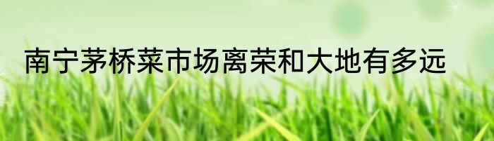 南宁茅桥菜市场离荣和大地有多远