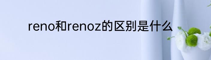reno和renoz的区别是什么