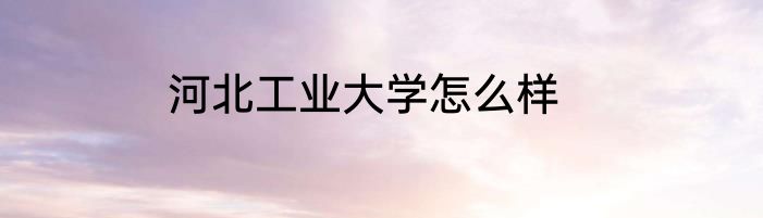 河北工业大学怎么样