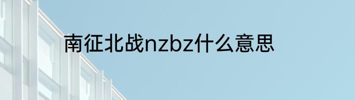南征北战nzbz什么意思