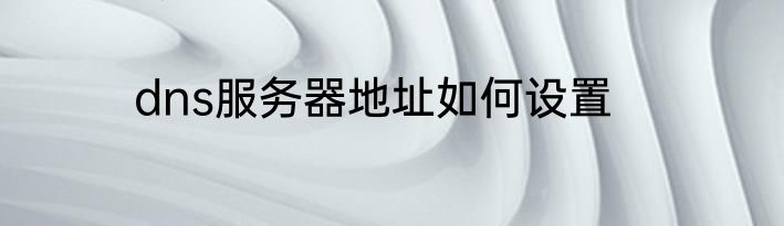 dns服务器地址如何设置