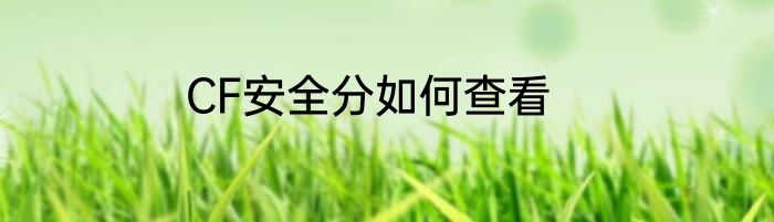CF安全分如何查看