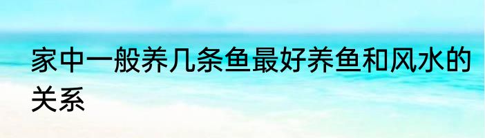 家中一般养几条鱼最好养鱼和风水的关系