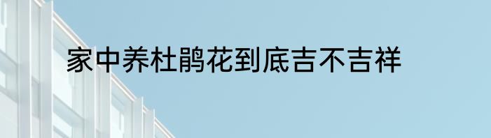 家中养杜鹃花到底吉不吉祥