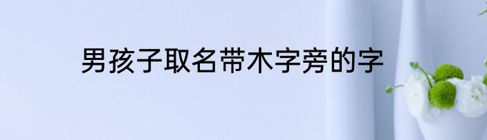 男孩子取名带木字旁的字