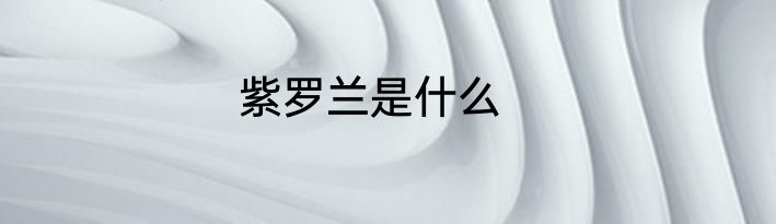 紫罗兰是什么