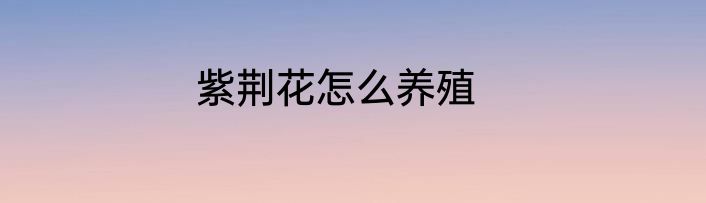紫荆花怎么养殖