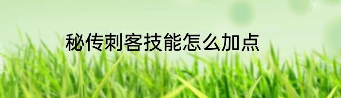 秘传刺客技能怎么加点