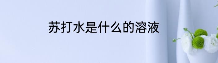苏打水是什么的溶液