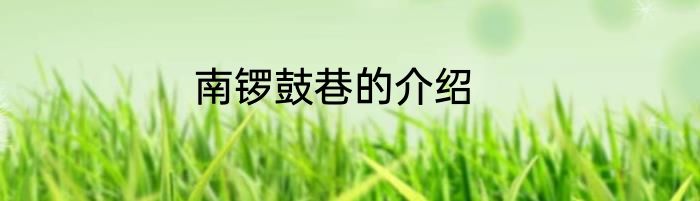 南锣鼓巷的介绍
