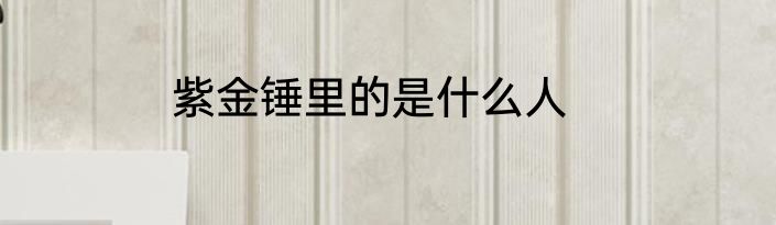 紫金锤里的是什么人