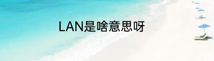 LAN是啥意思呀