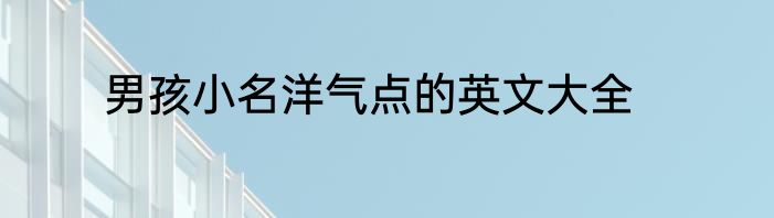 男孩小名洋气点的英文大全