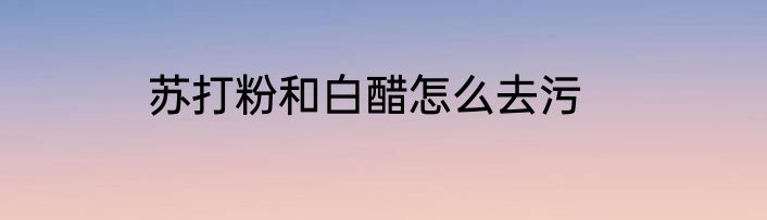 苏打粉和白醋怎么去污