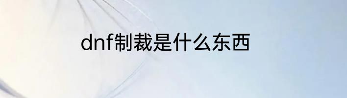 dnf制裁是什么东西