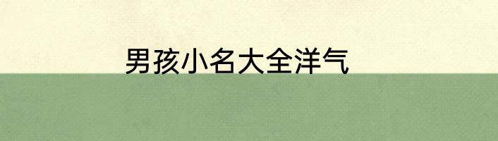 男孩小名大全洋气