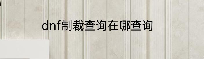 dnf制裁查询在哪查询