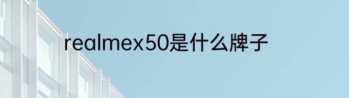 realmex50是什么牌子