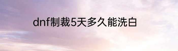dnf制裁5天多久能洗白