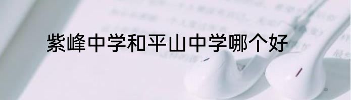 紫峰中学和平山中学哪个好